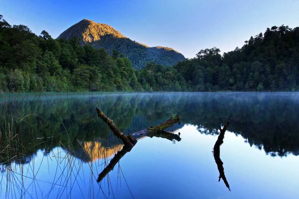 Ráno na Laguně Fría. Tohle místo na suchém kmeni napůl ponořeném do vody jsem měl na focení vyhlídnuté už od včerejška.